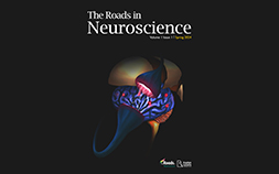The Roads in Neuroscience